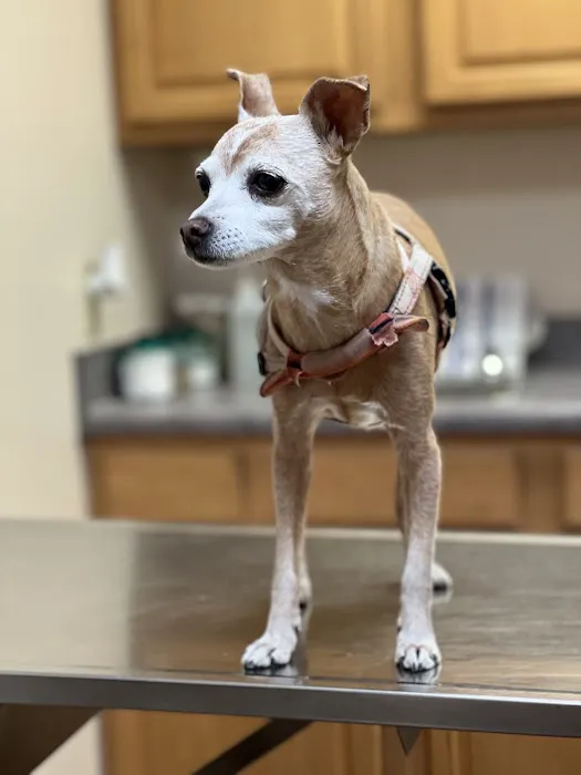 Grayson Veterinary Hospital Picture 2
