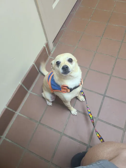 Grayson Veterinary Hospital Picture 3
