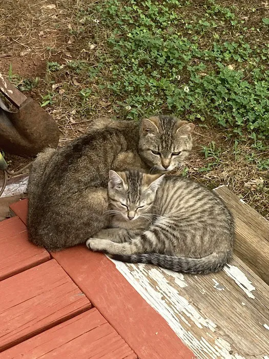 Paradox Spay & Neuter Clinic Picture 8