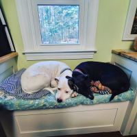 Eastside Animal Medical Center ico