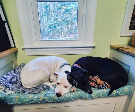 Eastside Animal Medical Center