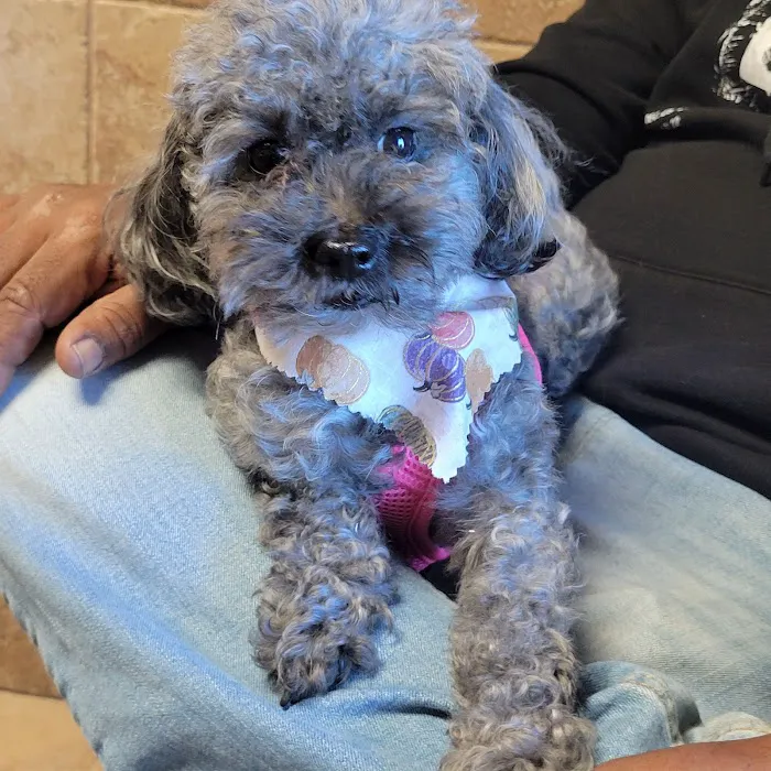 Eastside Animal Medical Center Picture 6