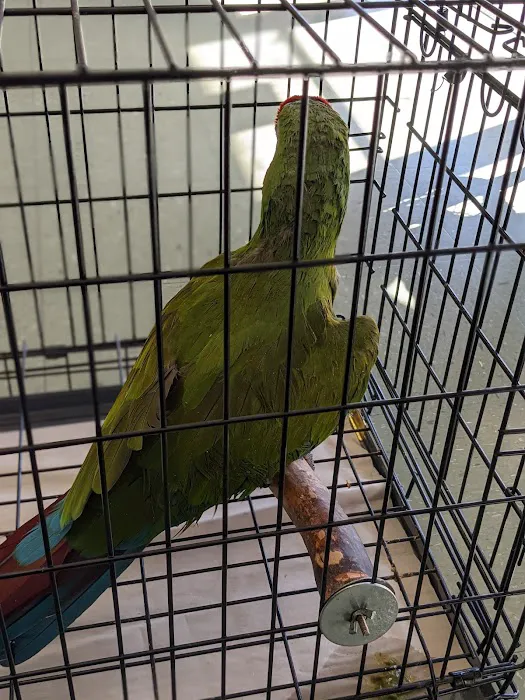 Animal Medical Center of Monroe Picture 1