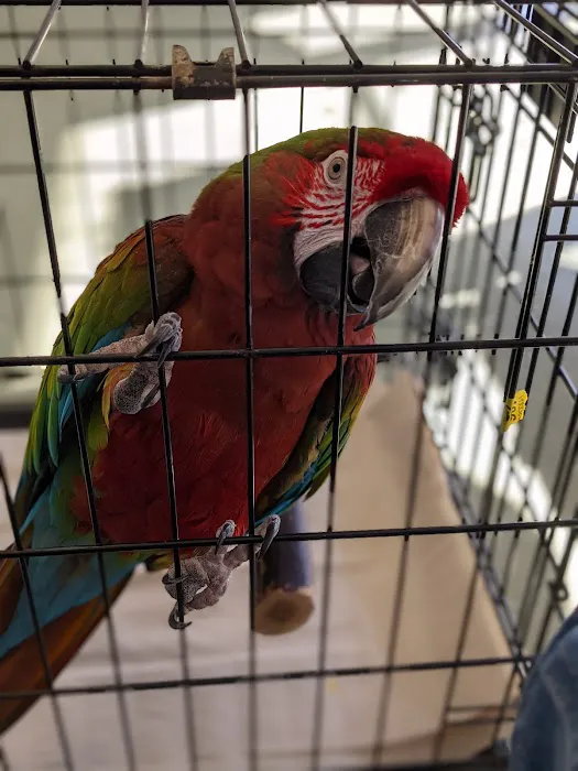 Animal Medical Center of Monroe Picture 2