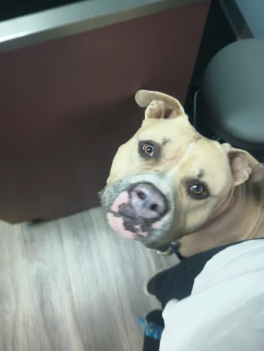 Walnut Grove Animal Hospital Picture 1