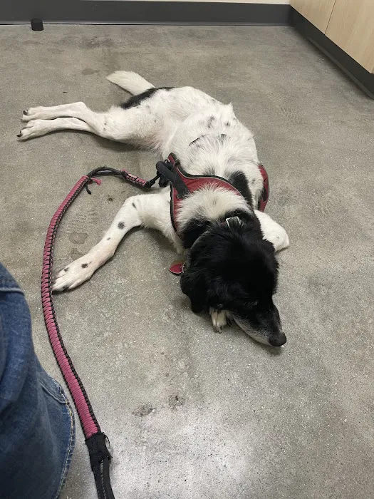 Vetco Total Care Animal Hospital Picture 2