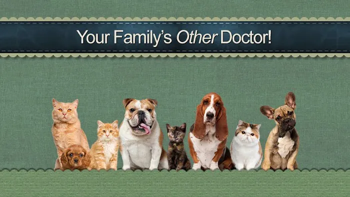 Dogwood Animal Hospital Picture 4