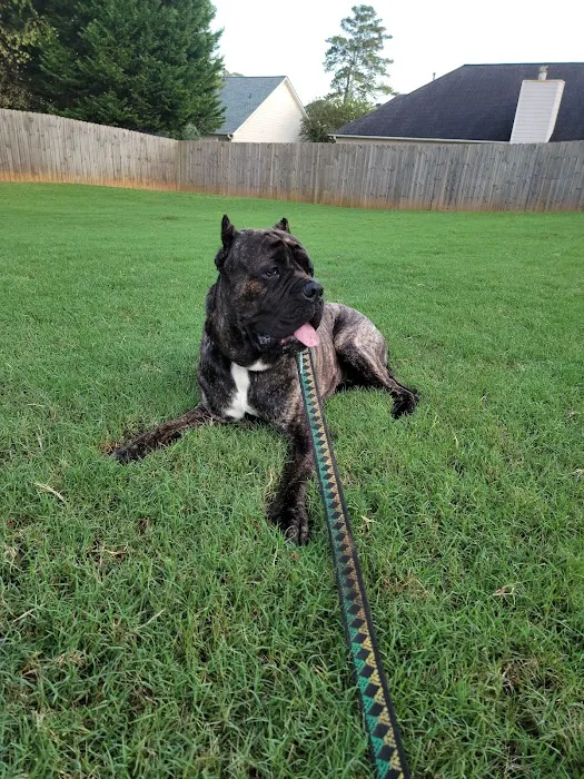 Dogwood Animal Hospital Picture 8