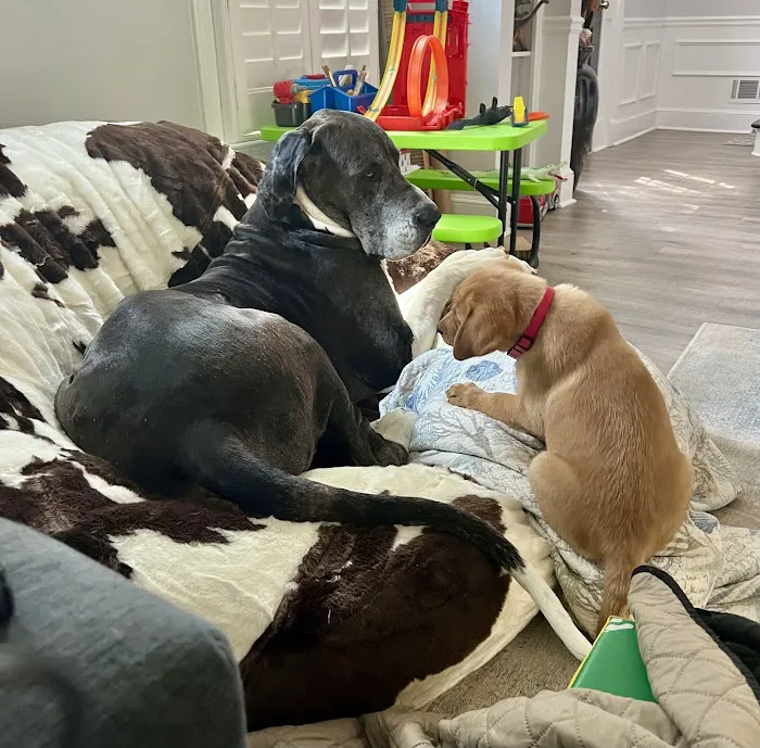 Banfield Pet Hospital Picture 6