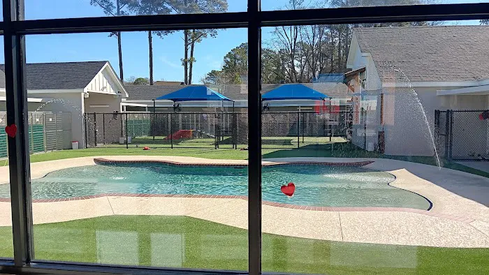 Banfield Pet Hospital Picture 10