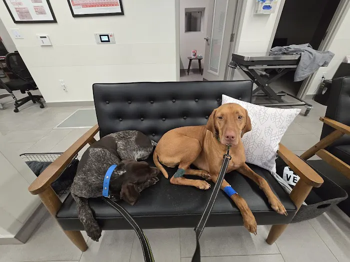 Veterinary Emergency Group Picture 2