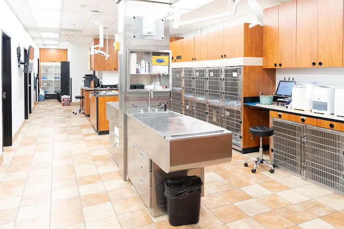 PetSmart Veterinary Services - Snellville Picture 7