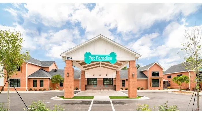 NewDay Veterinary Care Picture 7