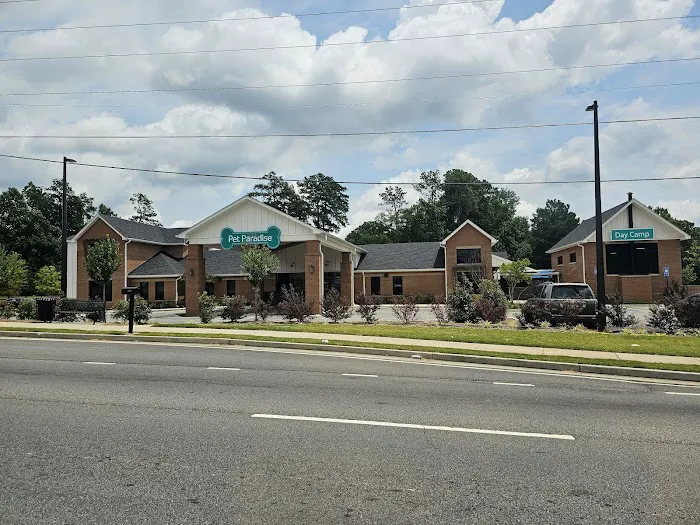NewDay Veterinary Care Picture 6