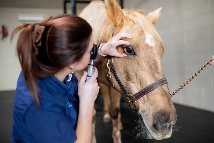 Countryside Equine Hospital Picture 1