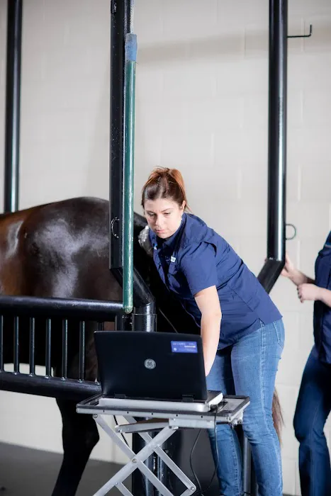 Countryside Equine Hospital Picture 2