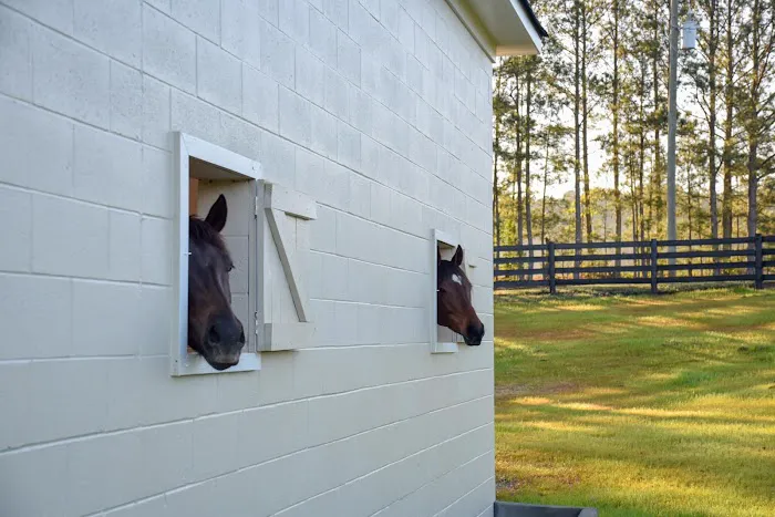 Countryside Equine Hospital Picture 10