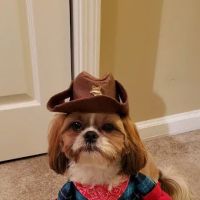 Monroe Animal Care Hospital ico
