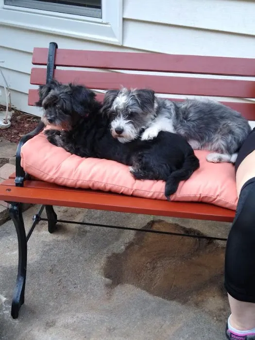 Monroe Animal Care Hospital Picture 4