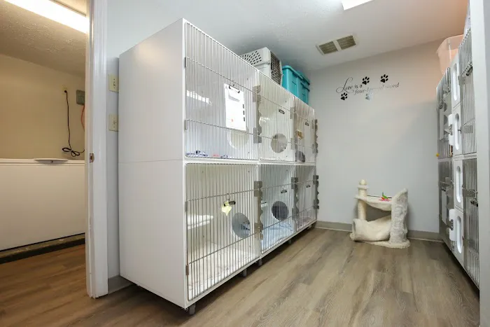 Monroe Animal Care Hospital Picture 7