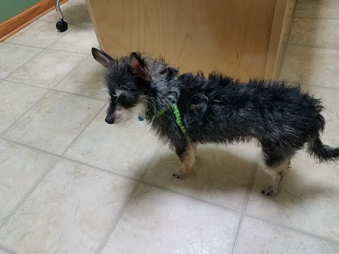 Monroe Animal Care Hospital Picture 6
