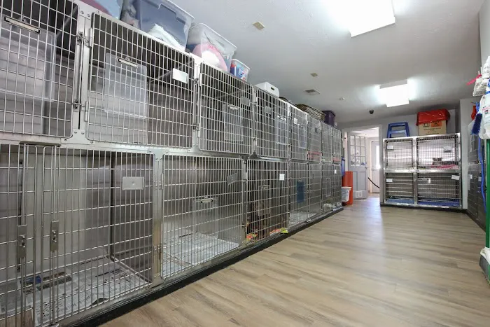 Monroe Animal Care Hospital Picture 8