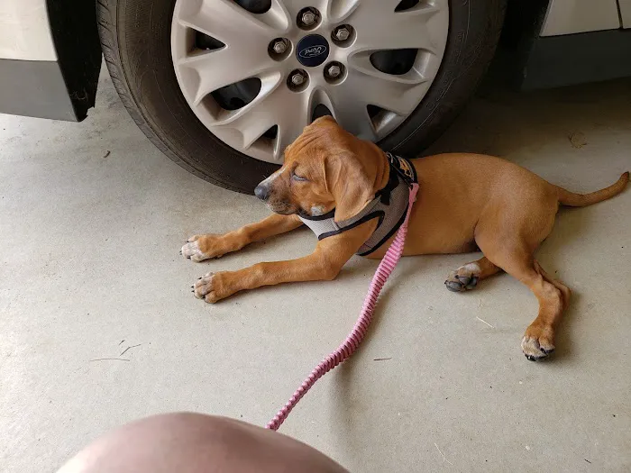 Monroe Veterinary Clinic Picture 9
