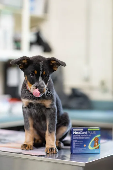 Countryside Animal Hospital Picture 1