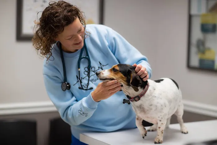 Countryside Animal Hospital Picture 8