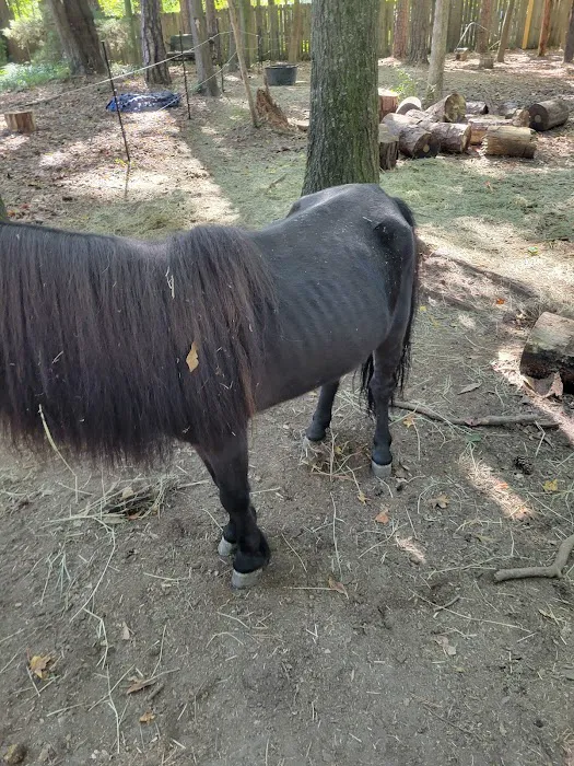 Countryside Animal Hospital Picture 10