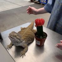 The Veterinary Clinic West ico