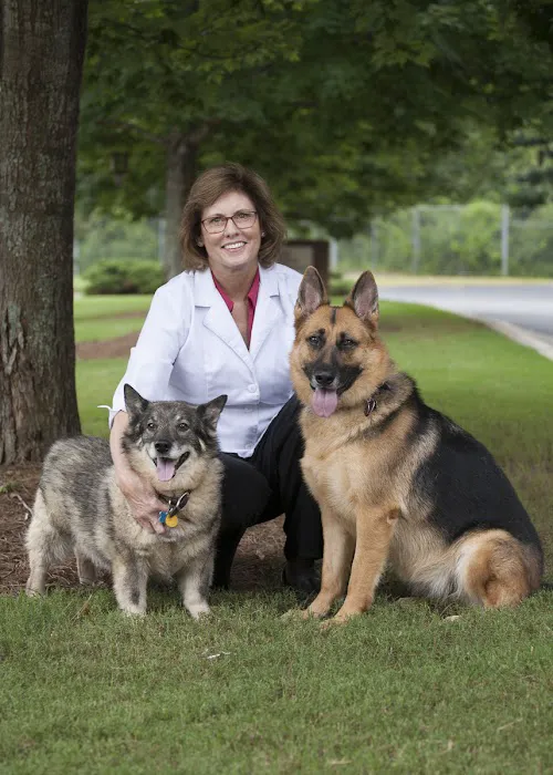 Windy Hill Veterinary Hospital Picture 6