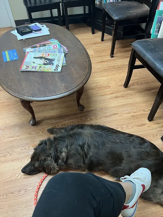 Windy Hill Veterinary Hospital Picture 5