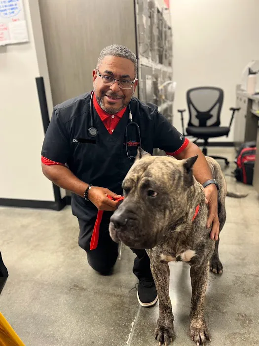 PetSmart Veterinary Services - Smyrna Picture 2