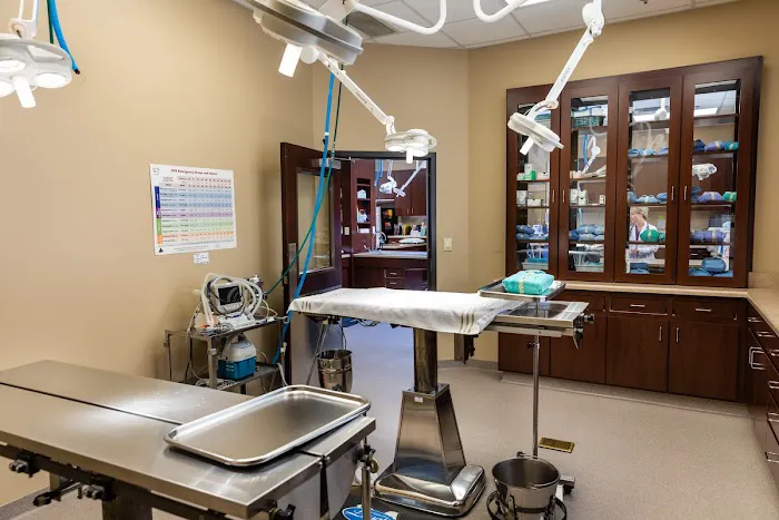 Powers Ferry Animal Hospital Picture 9