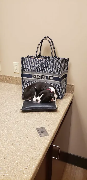 Powers Ferry Animal Hospital Picture 7