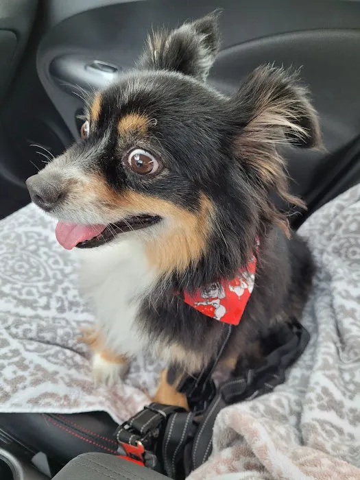 Dallas Highway Animal Hospital Picture 2