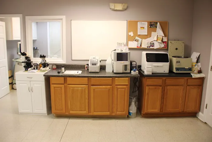 Dallas Highway Animal Hospital Picture 9