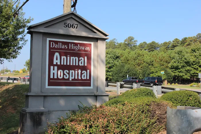 Dallas Highway Animal Hospital Picture 8