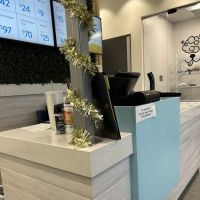 Walmart Pet Services ico