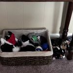 Macland Animal Hospital