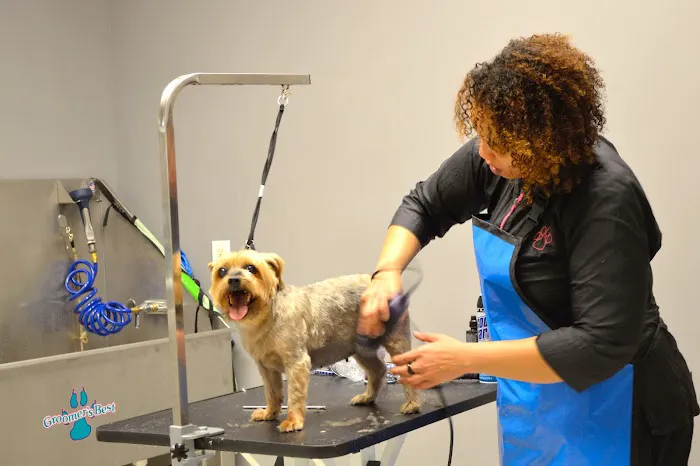 Macland Animal Hospital Picture 8