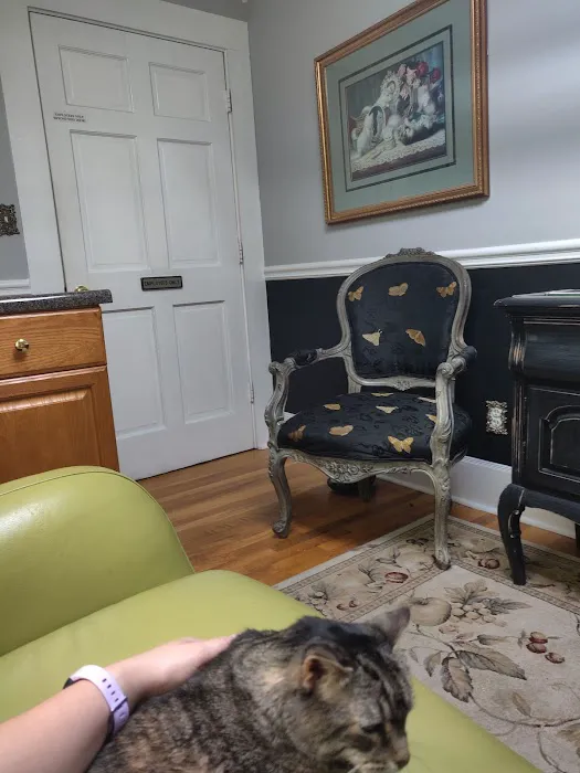The Cat Doctor, Cat Clinic and Hospital Picture 3