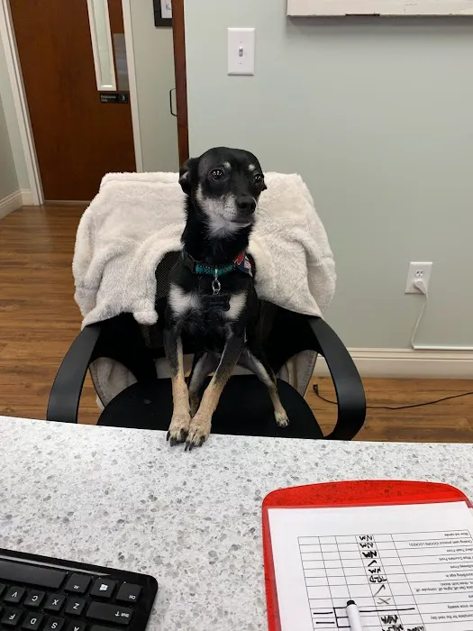 Mills Animal Hospital Picture 1