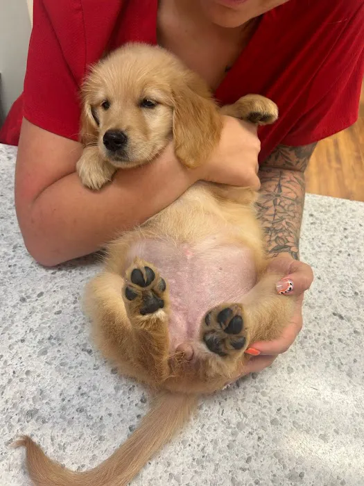 Mills Animal Hospital Picture 2