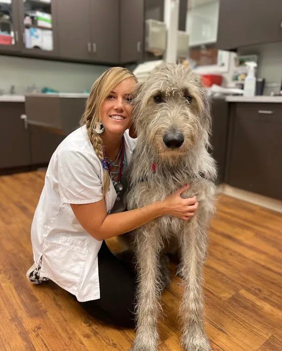 Mills Animal Hospital Picture 6