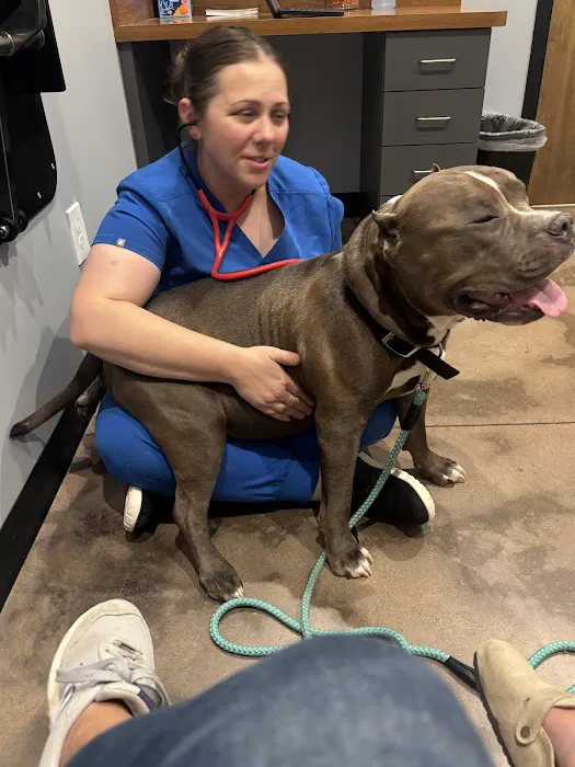 Skye Ridge Veterinary Hospital Picture 2