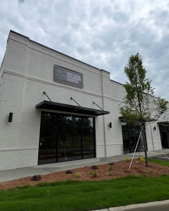 Skye Ridge Veterinary Hospital Picture 6