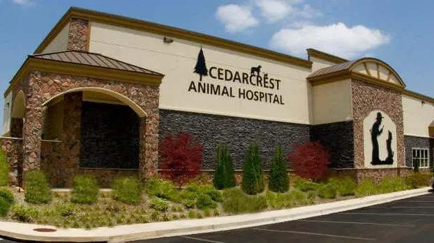 Cedarcrest Animal Hospital Picture 6