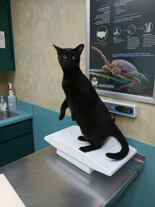 Lawrenceville Animal Care Center Picture 10